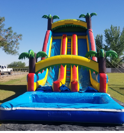 24ft inflatable double lane Tropical water slide rental