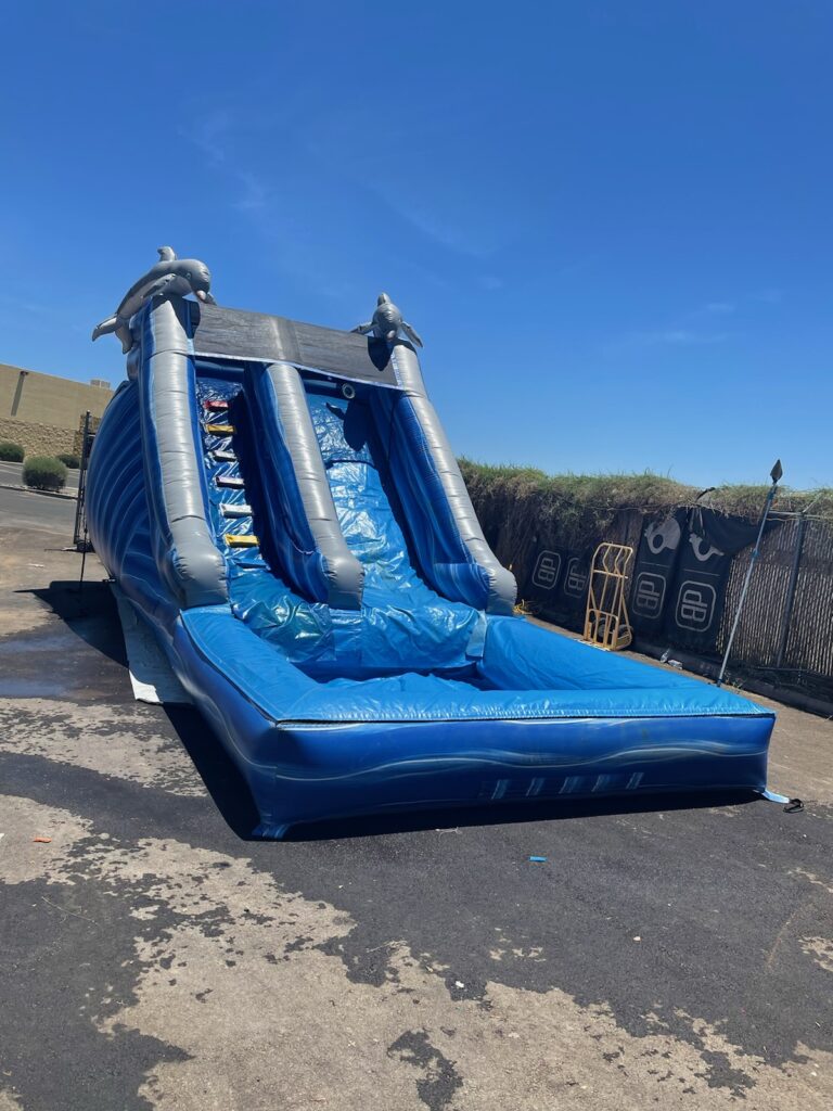 16ft tall dolphin water slide single lane with pool.